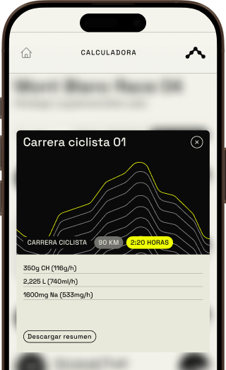 Resumen de la estrategia en la app de Santa Madre